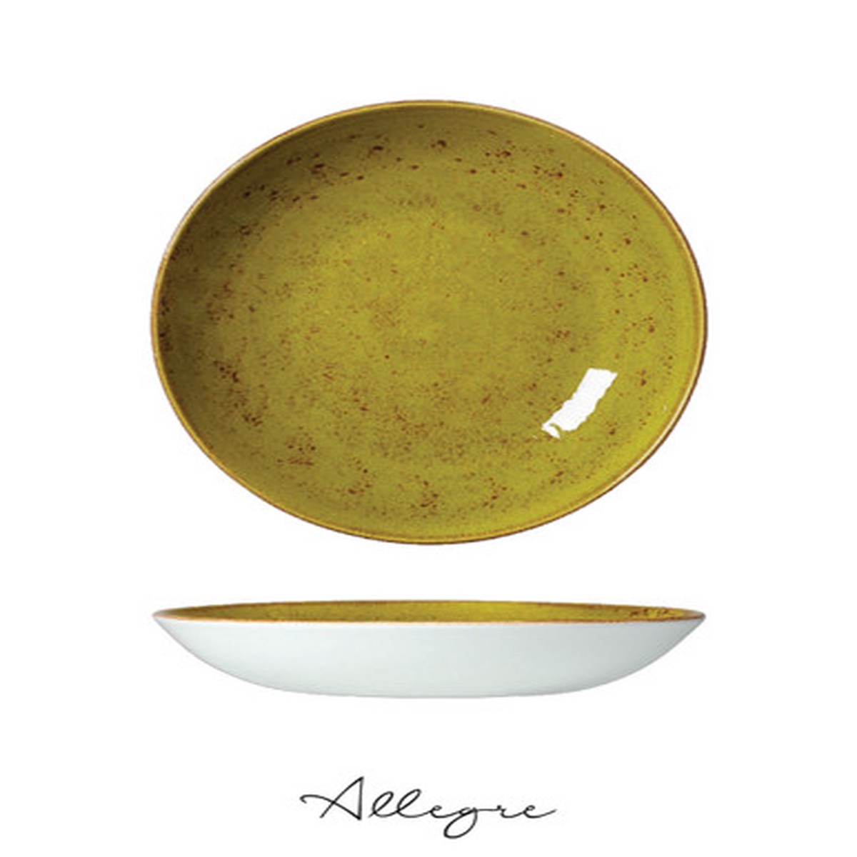 10 in. Shallow Serving Dish for 4 to 5 Persons 1.2 L - Speckled Apple Green