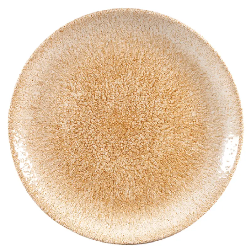Churchill China RKGOEV101 Plate 10-1/4" Dia. Round